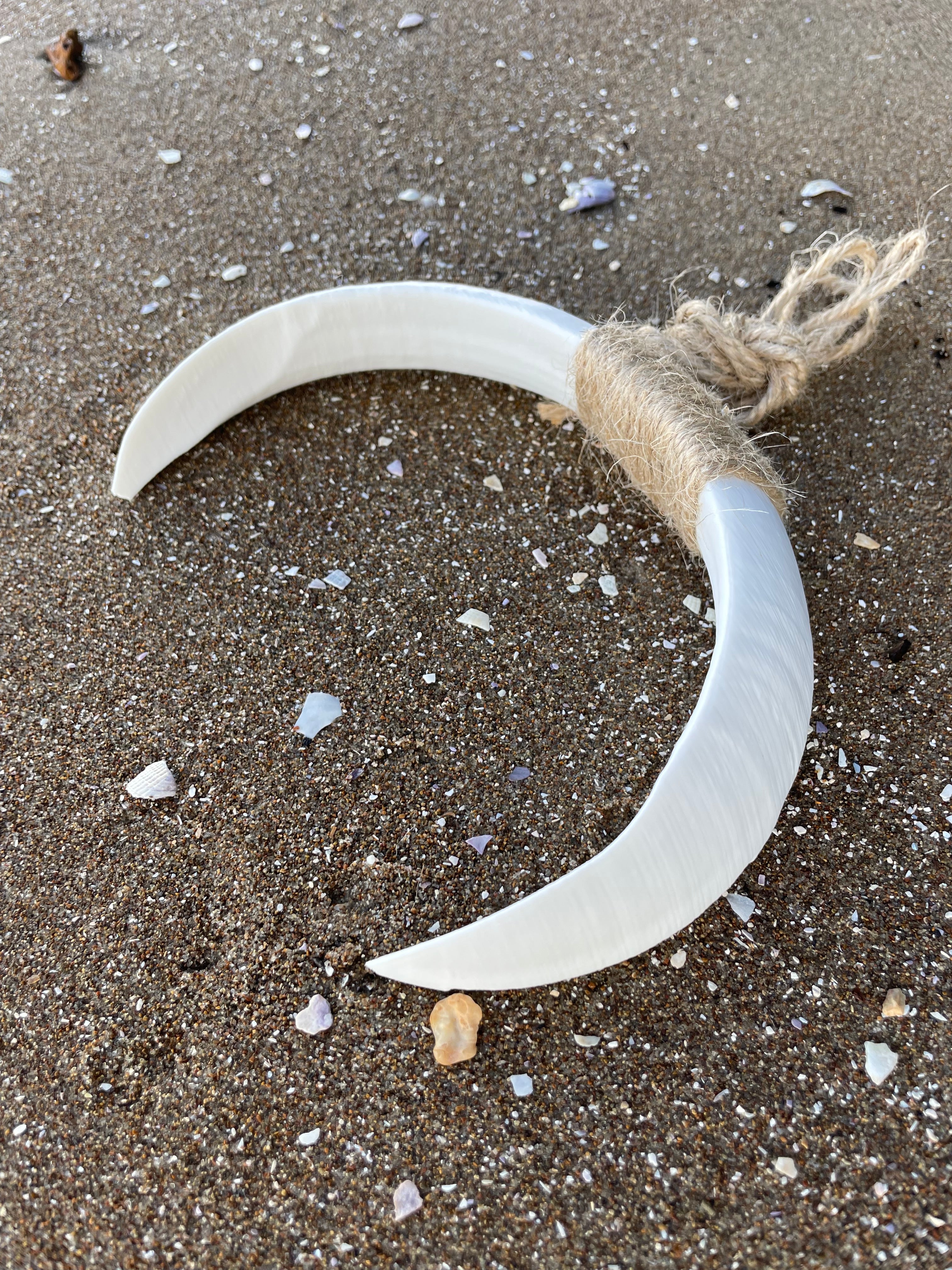 Boar Tusk Pendant Necklace- TOA