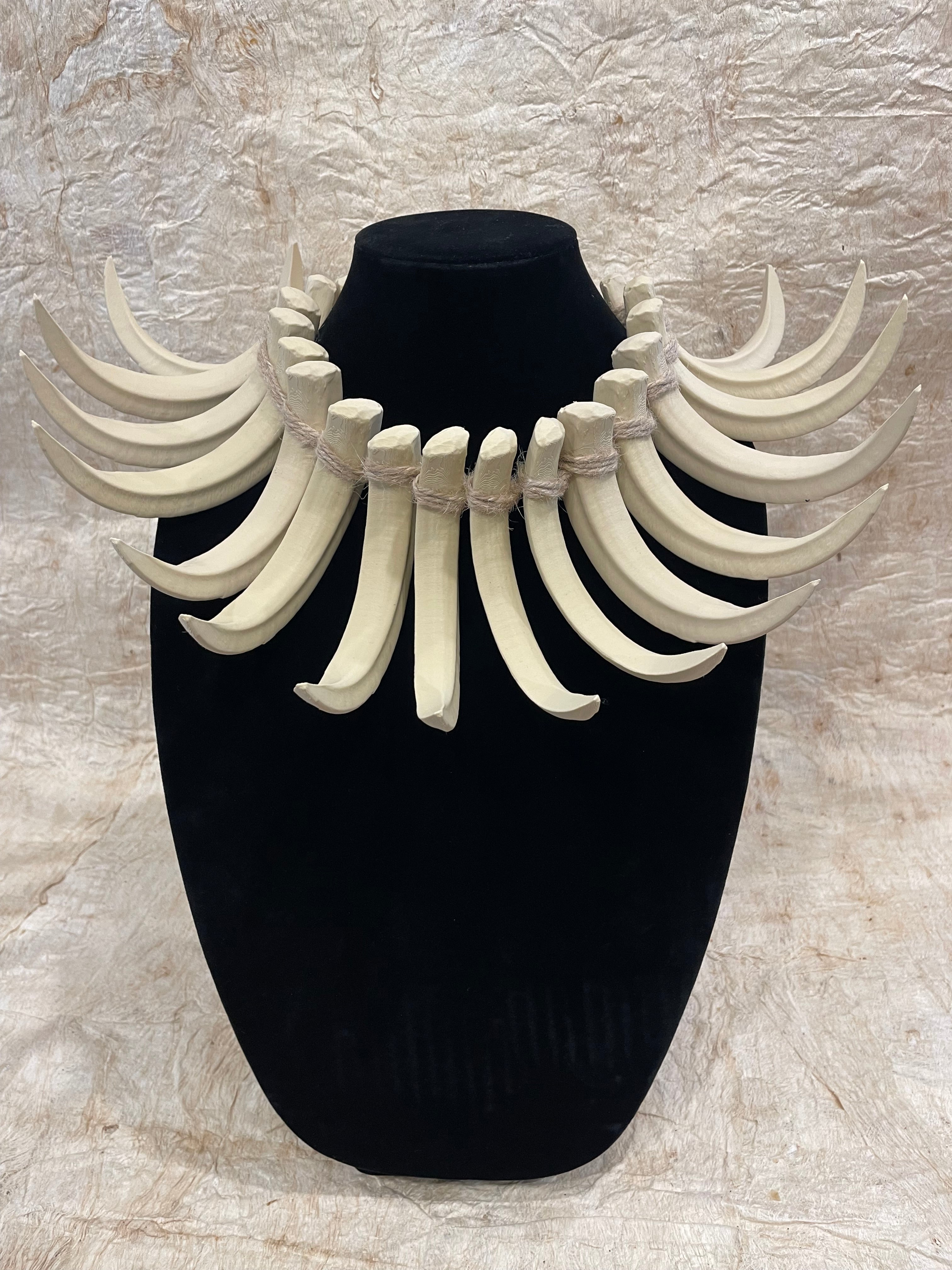 Ula Nifo- Sabretooth