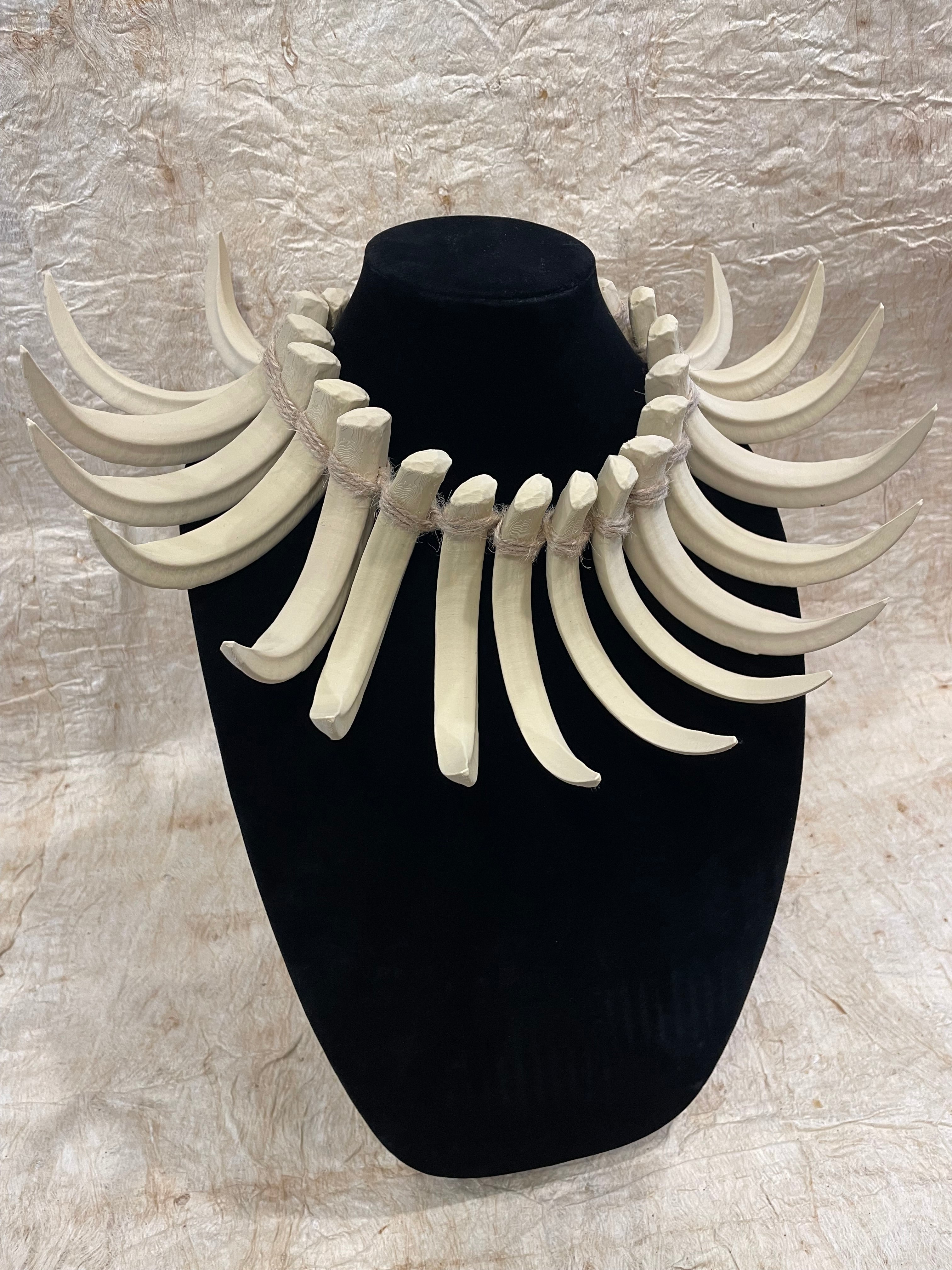 Ula Nifo- Sabretooth