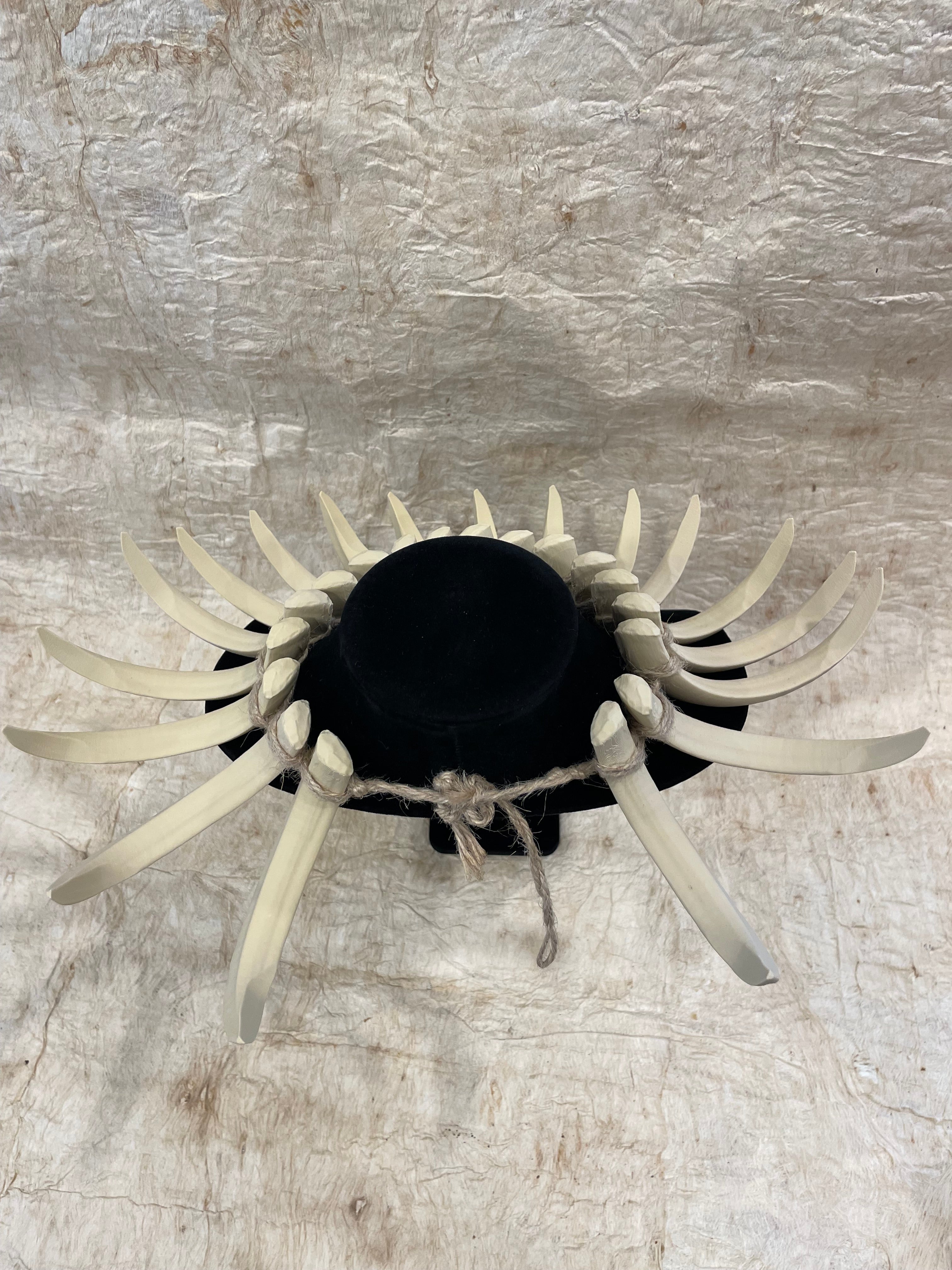 Ula Nifo- Sabretooth