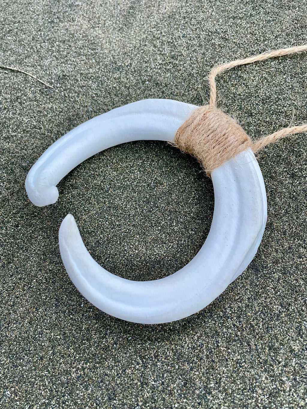 Boar Tusk Pendant Necklace- Heart of Zah