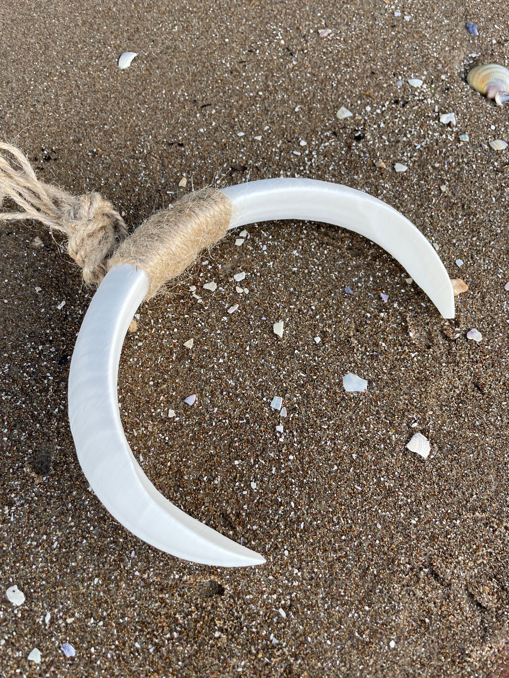 Boar Tusk Pendant Necklace- TOA